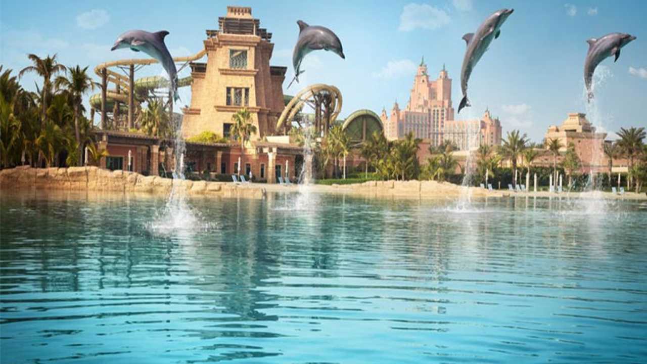 Dubai Dolphin Bay 1280x720