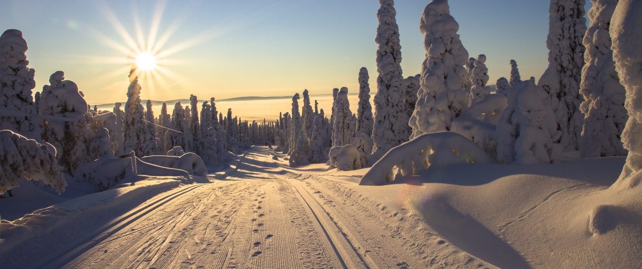 finland lapland 10 best things to do
